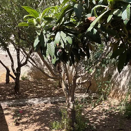 Casa דירה *